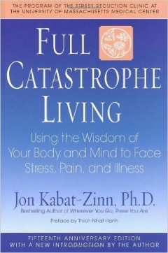 Jon Kabat-Zinn  (Author), Thich Nhat Hanh 